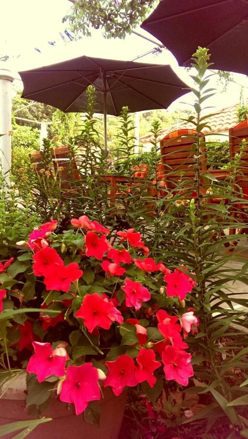 Motel Stone Gardens Doli Εξωτερικό φωτογραφία