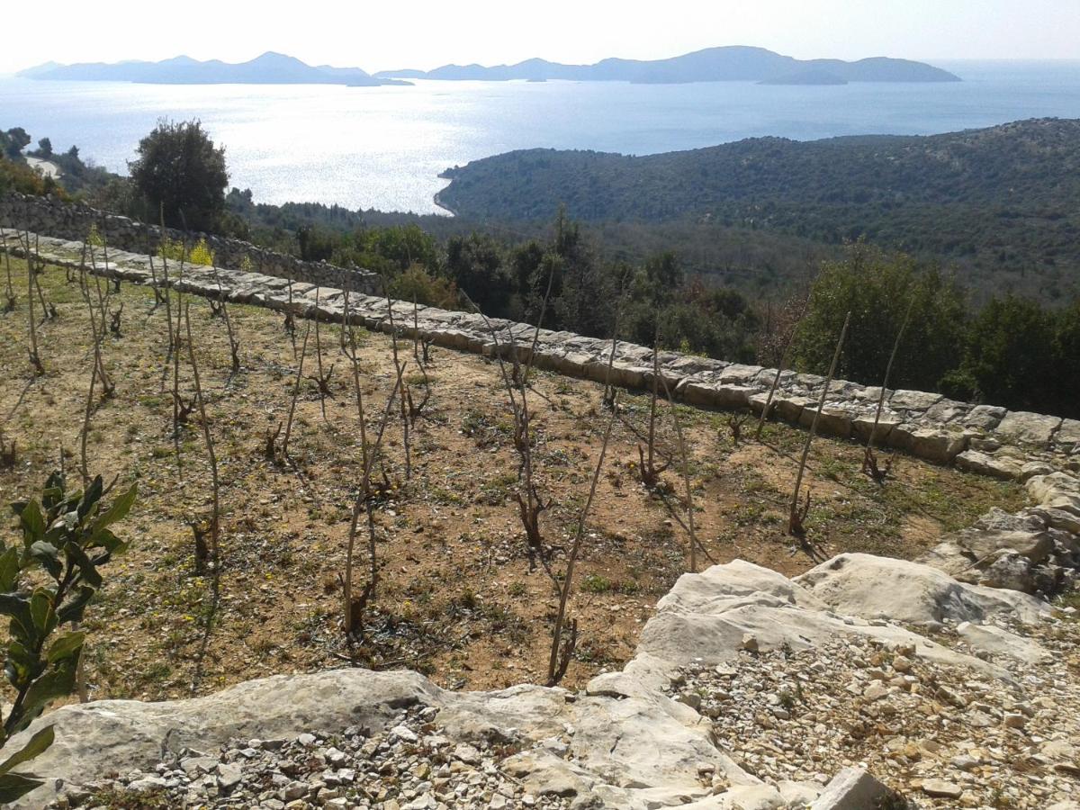 Motel Stone Gardens Doli Εξωτερικό φωτογραφία