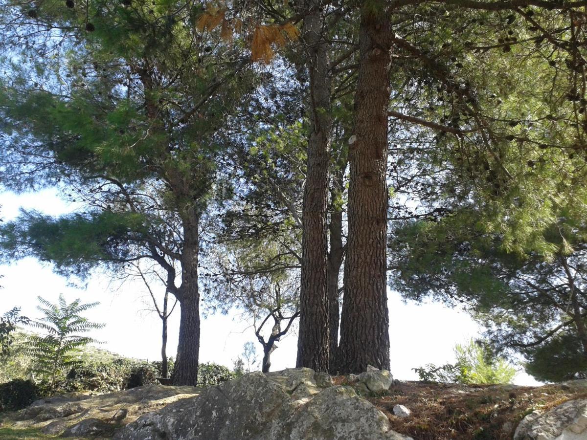 Motel Stone Gardens Doli Εξωτερικό φωτογραφία